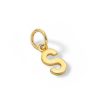 Banter 14K Semi-Solid Gold S Charm Charms