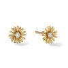 Banter 10K Solid Gold Cz Daisy Studs Earrings