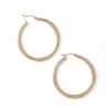 Banter 40Mm Satin And Florentine Hoop Earrings In 10K Tube Hollow Gold Earrings