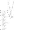 Banter Cubic Zirconia Dainty Capricorn Symbol Pendant Necklace In Sterling Silver Necklaces