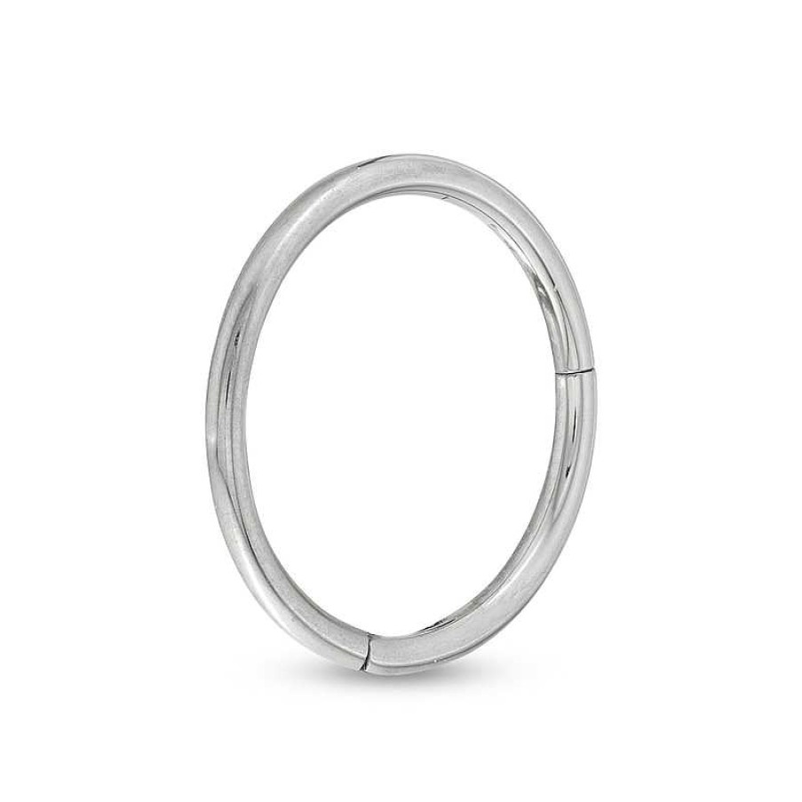 Banter Titanium Hoop Titanium - 18G 3/8" Earrings