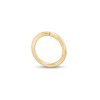 Banter 14K Gold Hoop - 16G 5/16" Earrings