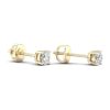 Banter 10K Solid Gold 1/2 Ct. T.W. Lab-Created Diamond Studs Earrings